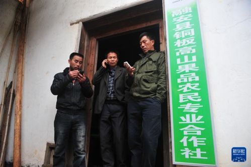 新华全媒 丨可爱的乡村 为什么12年来,他们要在故乡搬来上百万块石头