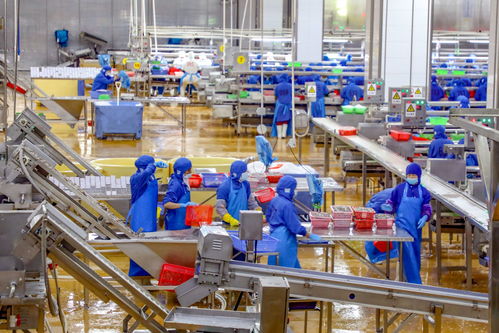 湛江一季度外贸 成绩单 密集出炉