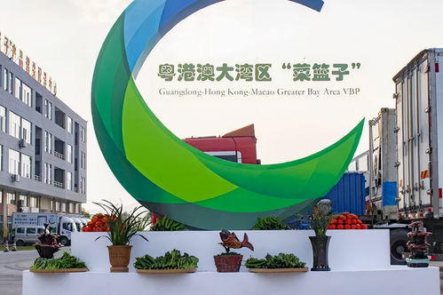 全省首个 韶关全球商品交易平台上线