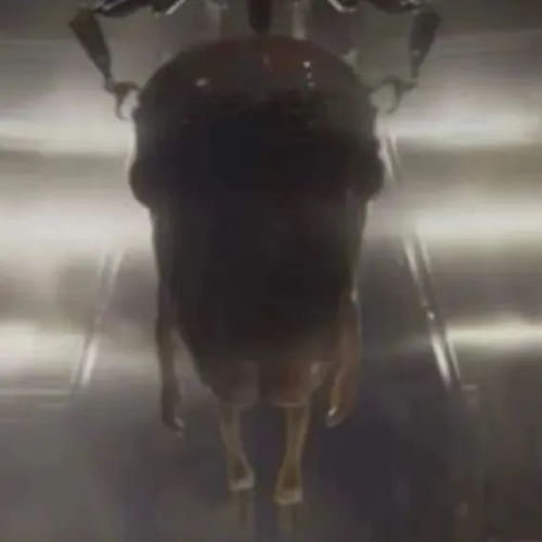 《蚁人3》部分地区上映删减同性恋画面引发的争议与思考