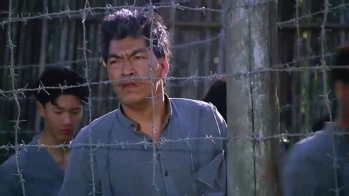 爱人同志 华仔被打伤，幸好成奎安在，太幸运 同志网上家园