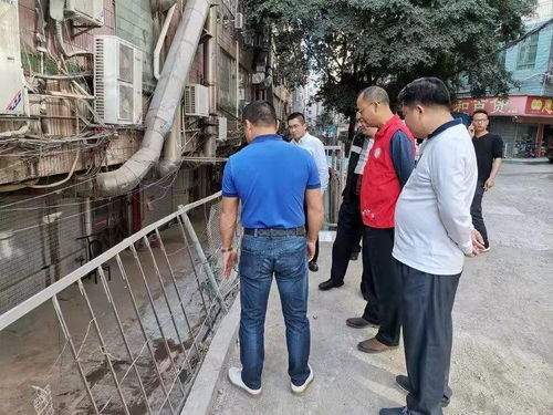 岁末年初守安全 抓卫生 坂田社区同心共建和谐网上家园